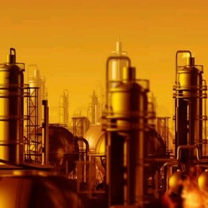 Meet your Posher, Billy